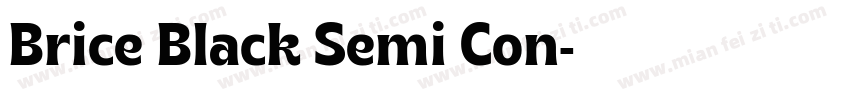 Brice Black Semi Con字体转换